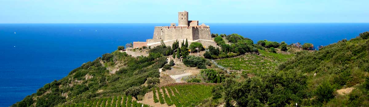 fort saint elme