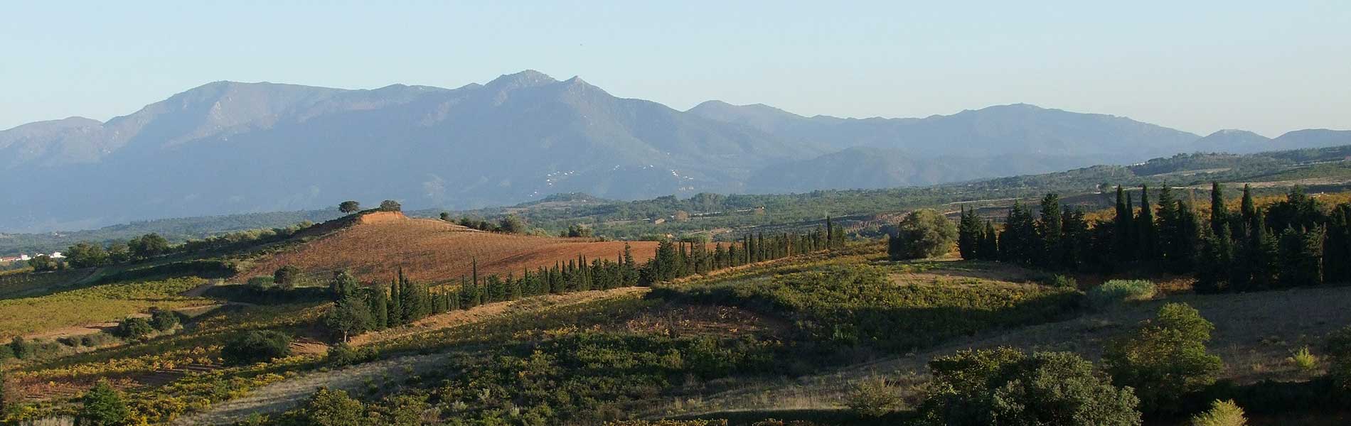Massif des Albères
