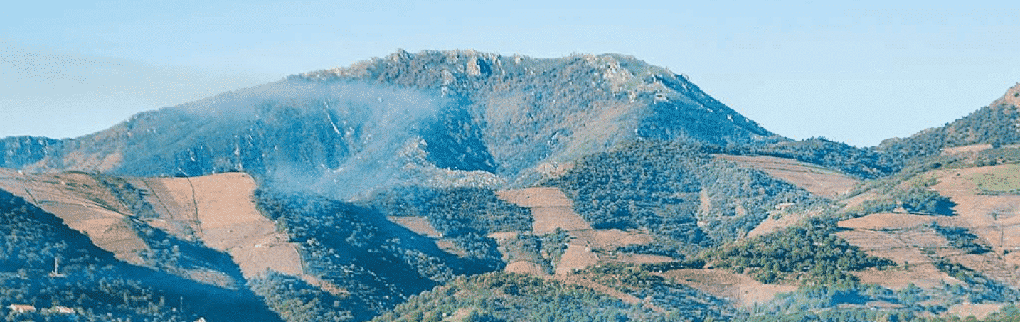 banyuls-sur-mer